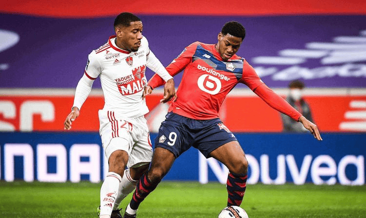 人形机器人 人形机器人