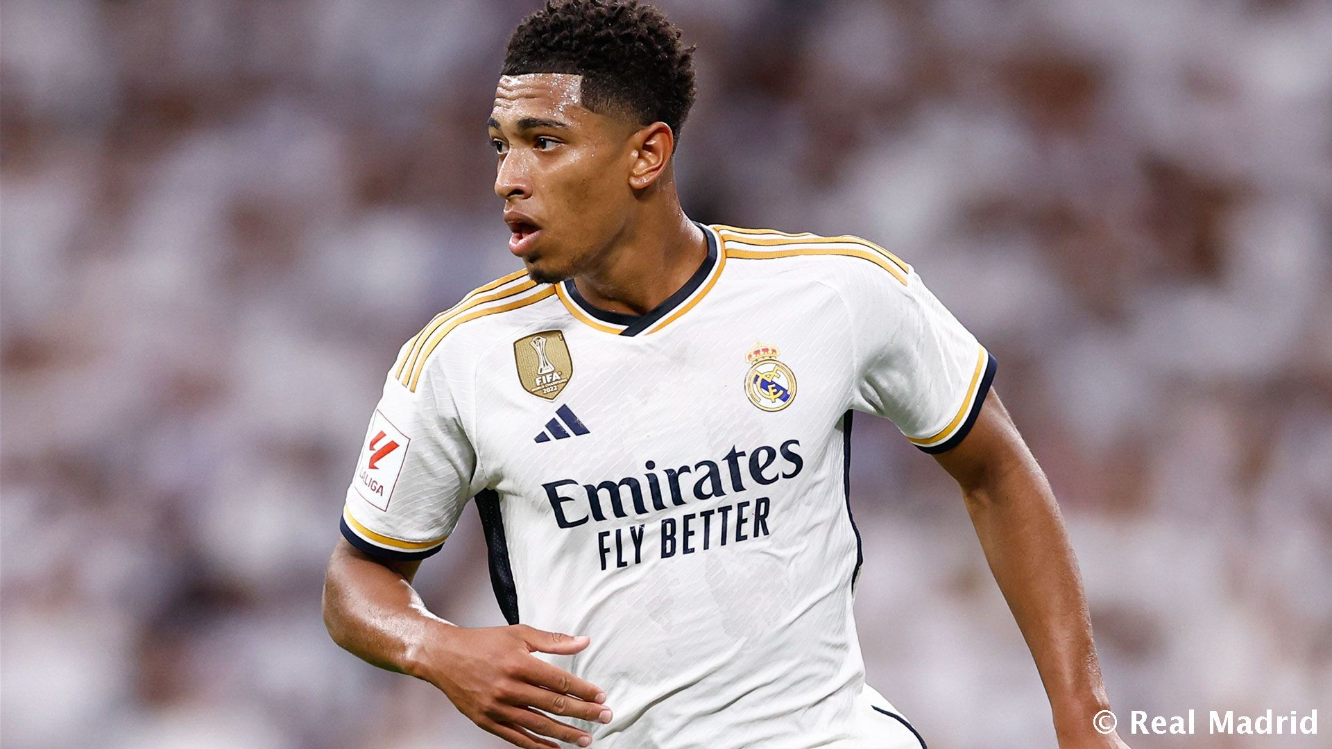 略与供应商 略与供应商